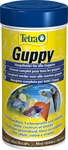 Tetra Guppy (Hauptfutter für Guppys und andere lebendgebärende Zahnkarpfen, Miniflocken mit Farberstärkern), 250 ml Dose - 3