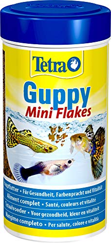 Tetra Guppy (Hauptfutter für Guppys und andere lebendgebärende Zahnkarpfen, Miniflocken mit Farberstärkern), 250 ml Dose - 1
