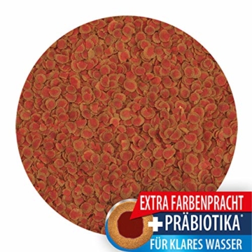Tetra Pro Colour Premiumfutter (für alle tropischen Zierfische, Farbkonzentrat für hervorragende natürliche Farbausprägung, hoher Gehalt an Carotinoiden für farbverstärkende Wirkung), 500 ml Dose - 3