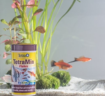 TetraMin (Hauptfutter für alle Zierfische in Flockenform, für ein langes und gesundes Fischleben und klares Wasser, plus Präbiotika für verbesserte Körperfunktionen und Futterverwertung), 1 Liter Dose - 6