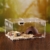 Acryl Terrarium Spider Breeding Box Montage Insektenzucht Box Reptile Fütterungsbox Für Klettern Pet Terrarium Snake Spider Lizard Scorpion Centipede - 3