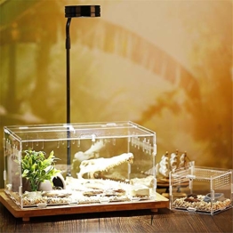 Acryl Terrarium Spider Breeding Box Montage Insektenzucht Box Reptile Fütterungsbox Für Klettern Pet Terrarium Snake Spider Lizard Scorpion Centipede - 1