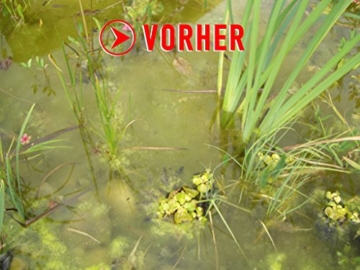 Algenkiller Protect® - Wasserpflege für Garten- und Schwimmteiche (150 g - für max. 10.000 Liter) - 2