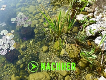 Algenkiller Protect® - Wasserpflege für Garten- und Schwimmteiche (150 g - für max. 10.000 Liter) - 3