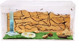 AntHouse - Ameisenfarm aus natürlichem Sand - Acryl Starter Set 20x10x10 cm (Gratis Ameisen) - 1
