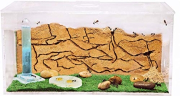 AntHouse - Ameisenfarm aus natürlichem Sand - Acryl Starter Set 20x10x10 cm (Gratis Ameisen) - 1