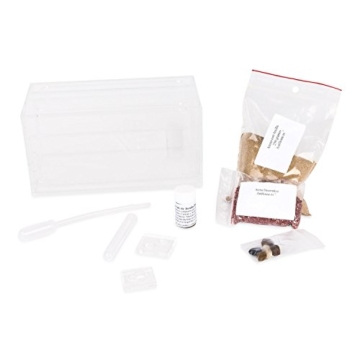 AntHouse - Ameisenfarm aus natürlichem Sand - Acryl Starter Set 20x10x10 cm (Gratis Ameisen) - 9