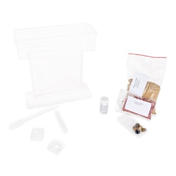 AntHouse Ameisenfarm T Acryl (Ameisen mit Königin Free) - Acryl T Kit 15x15x1,5 cm (Gratis Ameisen) - 9