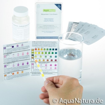 AquaNatura Trinkwasser Wassertest (13 versch. Tests in 1) u.a. Eisen/Kupfer/pH/Gesamthärte (GH)/Nitrit/Nitrat/Karbonathärte (KH), 25 Tests, schnelle Ergebnisse - 2