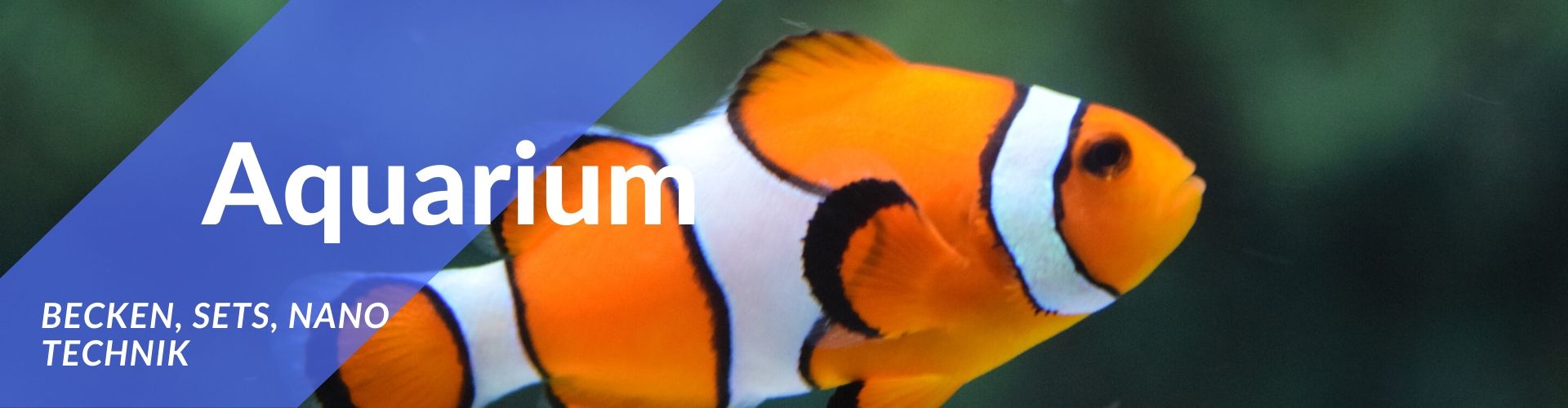 Aquaristik