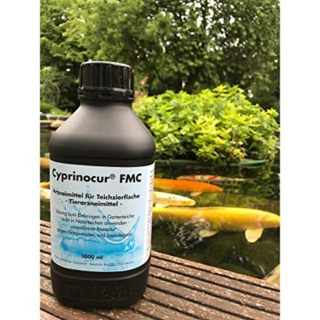 Cyprinocur FMC (1 l) für Koi gegen Parasiten (Costia), Pilz-Infektionen (Saprolegnia) von Teich-Fischen, Zierfischen im Gartenteich - 4