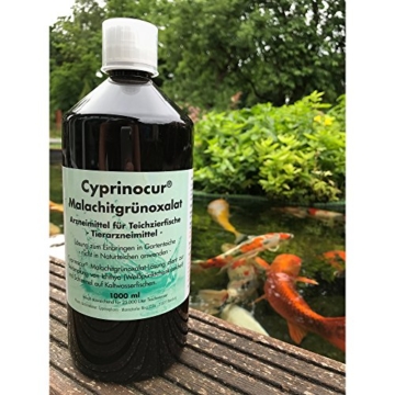 Cyprinocur gegen Pilz-Infektionen - Malachit-Grün-Oxalat (1 l) für Koi zur Behandlung von Weißpünktchen-Krankheit (Ichthyo) auf Zierfischen und anderen Teich-Fischen im Gartenteich - 4
