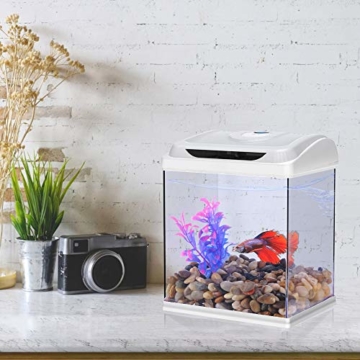 DADYPET Aquarium, Mini-Aquarium, Aquarium-Set, Fischzucht-Set für Medaka und Tropische Fische, kleines Aquarium mit Beleuchtung, energiesparend und leise, 1 Gallone - 5