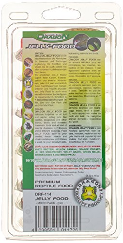 Dragon Terraristik Jelly-Food Mixed Pack 20 Stück a 16g, 1er Pack (1 x 320 g) - 2