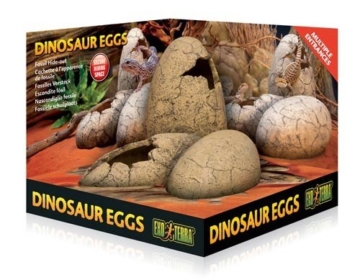 Exo Terra Dinosauriereier - 1