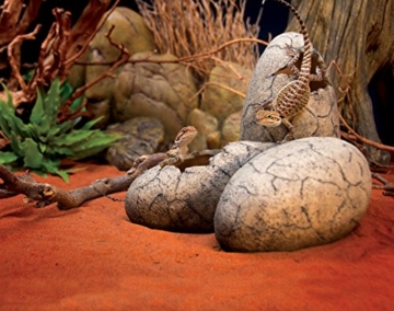 Exo Terra Dinosauriereier - 2