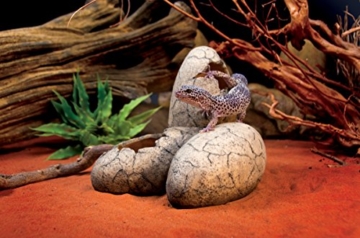 Exo Terra Dinosauriereier - 3