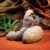 Exo Terra Dinosauriereier - 3