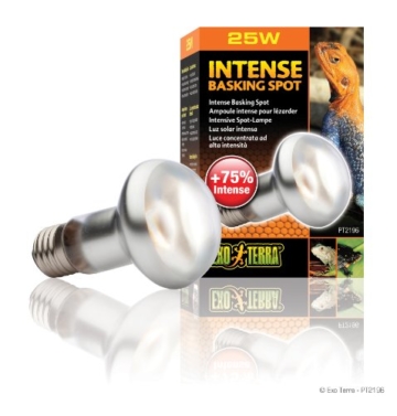 Exo Terra Intense Basking Spot Tageslicht-Wärmelampe 25W - 3