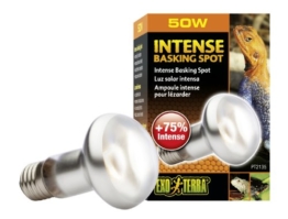 Exo Terra Intense Basking Spot Tageslicht-Wärmelampe 50W - 1