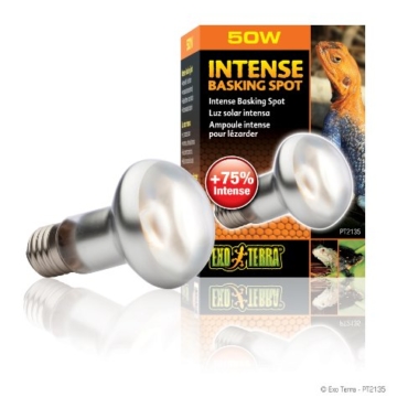 Exo Terra Intense Basking Spot Tageslicht-Wärmelampe 50W - 3