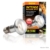 Exo Terra Intense Basking Spot Tageslicht-Wärmelampe 50W - 3