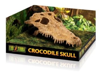 Exo Terra Krokodilschädel - 4