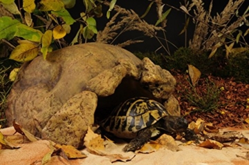 Exo Terra Landschildkröten Höhle - 2