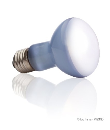 Exo Terra PT2195 Breitspektrum Tageslichtlampe Wärmestrahler Daylight Baski Spot 25W - 2