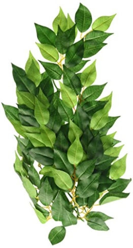Exo Terra Regenwaldpflanze Ficus mittel - 1