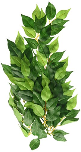 Exo Terra Regenwaldpflanze Ficus mittel - 