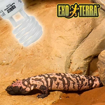 Exo Terra Reptile UVB 150 - Wüstenterrarienlampe 25W - 2