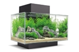 Fluval 15034 Edge 2.0 23l Aquarium Set, schwarz - 1