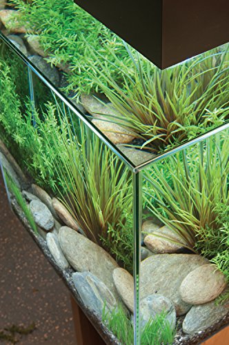 Fluval 15034 Edge 2.0 23l Aquarium Set, schwarz - 4