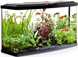 Fluval VUE Aquarienset - 1