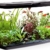 Fluval VUE Aquarienset - 1