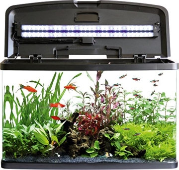 Fluval VUE Aquarienset - 2
