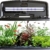 Fluval VUE Aquarienset - 2