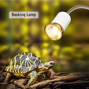 Galapara Schildkröte Wärmelampe, Wärmespotlampe für Aquarium Reptil,Basking Spot 25W Halogen Wärmelampe UVA UVB mit 360° drehbarem Clip für Reptilien, Eidechsen, Schildkrötenschlangen Aquarium - 6