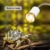Galapara Schildkröte Wärmelampe, Wärmespotlampe für Aquarium Reptil,Basking Spot 25W Halogen Wärmelampe UVA UVB mit 360° drehbarem Clip für Reptilien, Eidechsen, Schildkrötenschlangen Aquarium - 6