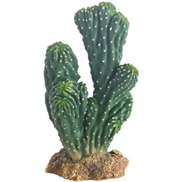 Hobby 37019 Kaktus Victoria 1, Höhe 19 cm - 1