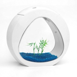 Kleine Nano Curve Aquarium Fisch Tank Kaltwasser Tropical LED Beleuchtung 6L oder 13.5L … (13.5L, Weiß) - 1