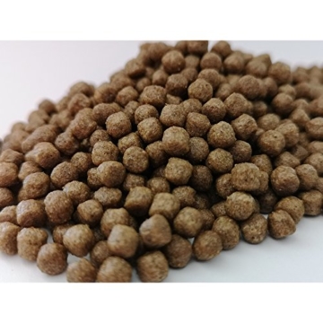 Koi Prevention 5kg First Choice For Heathy Koi (4,5mm Granulat) Koifutter - 2
