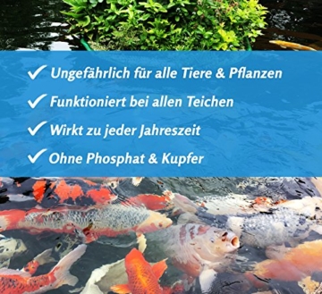 KOIPON Fadenalgenvernichter für Gartenteich Algenentferner 1 kg phosphatfrei - ungefährlicher Algenvernichter und effektive Teichpflege ideal zum Fadenalgen entfernen für fadenalgenfreien Teich - 3