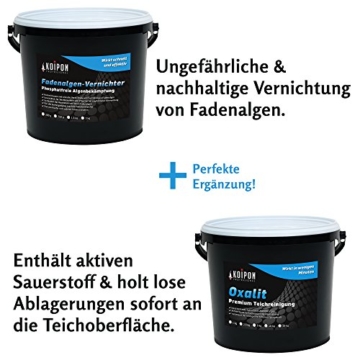 KOIPON Fadenalgenvernichter für Gartenteich Algenentferner 1 kg phosphatfrei - ungefährlicher Algenvernichter und effektive Teichpflege ideal zum Fadenalgen entfernen für fadenalgenfreien Teich - 4