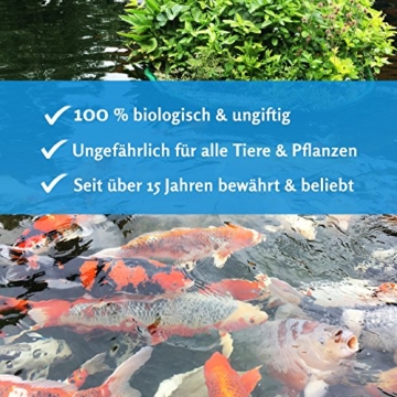 KOIPON Pon-Vital biologisch dauerhaft ohne Fadenalgen (2,5 kg), Fadenalgenvernichter Teich Gartenteich Algenvernichter Fadenalgen Algen entfernen Algenfrei Fadenalgenfrei Algen Vernichter Nicht nötig - 3