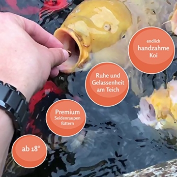 KOIPON Seidenraupen Premium getrocknet (3 kg) eiweißreiches Koifutter Fischfutter Farbfutter Color Koi Leckerli Seidenraupenpuppen auch für Reptilien & Schildkröten - 4