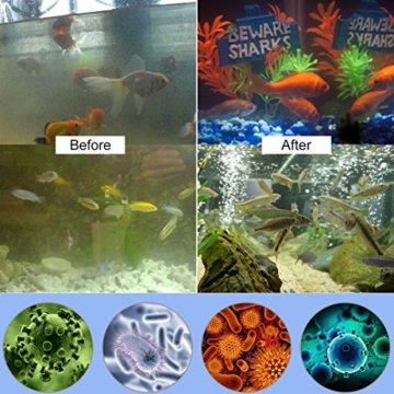 LEDGLE 7W UV-Aquarium-Sterilisator, UVlampen-versenkbares wasserdichtes Algen-Zerstörungs-Licht für die Reinigung von Wasser-Aquarien, Pools, Fishbowl - 6