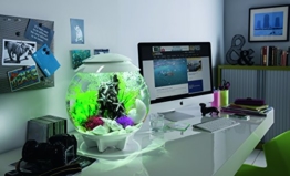 Oase biOrb Deko Aquarium Halo 30 mit LED - 30 Liter Weiss - 1