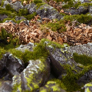 REPITERRA Terrarium Rückwand 3D Hintergrund im Naturlook Stein 120x60 cm - 3